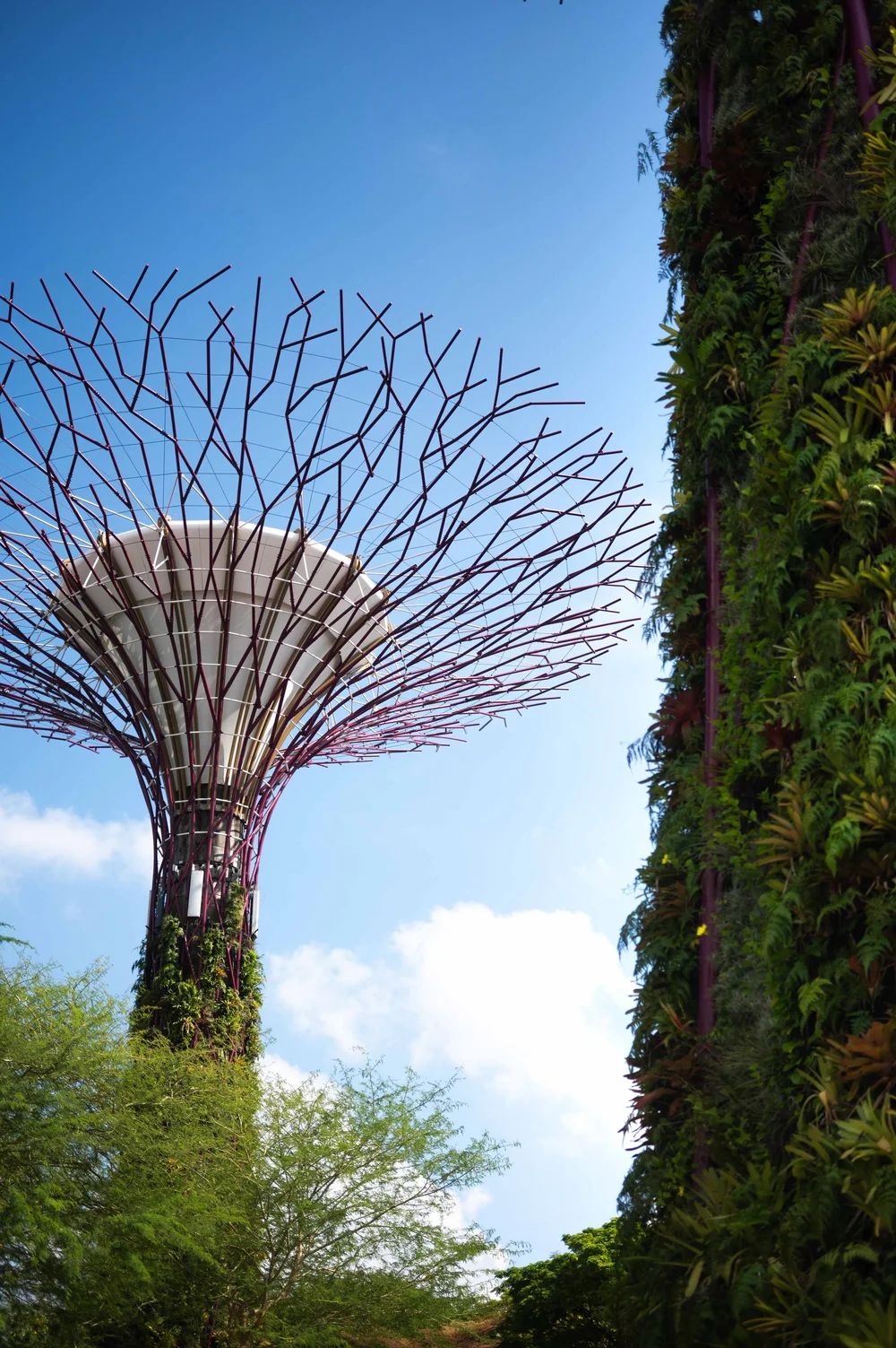 Singapour: photograph by Jordan Sapally (90/119)