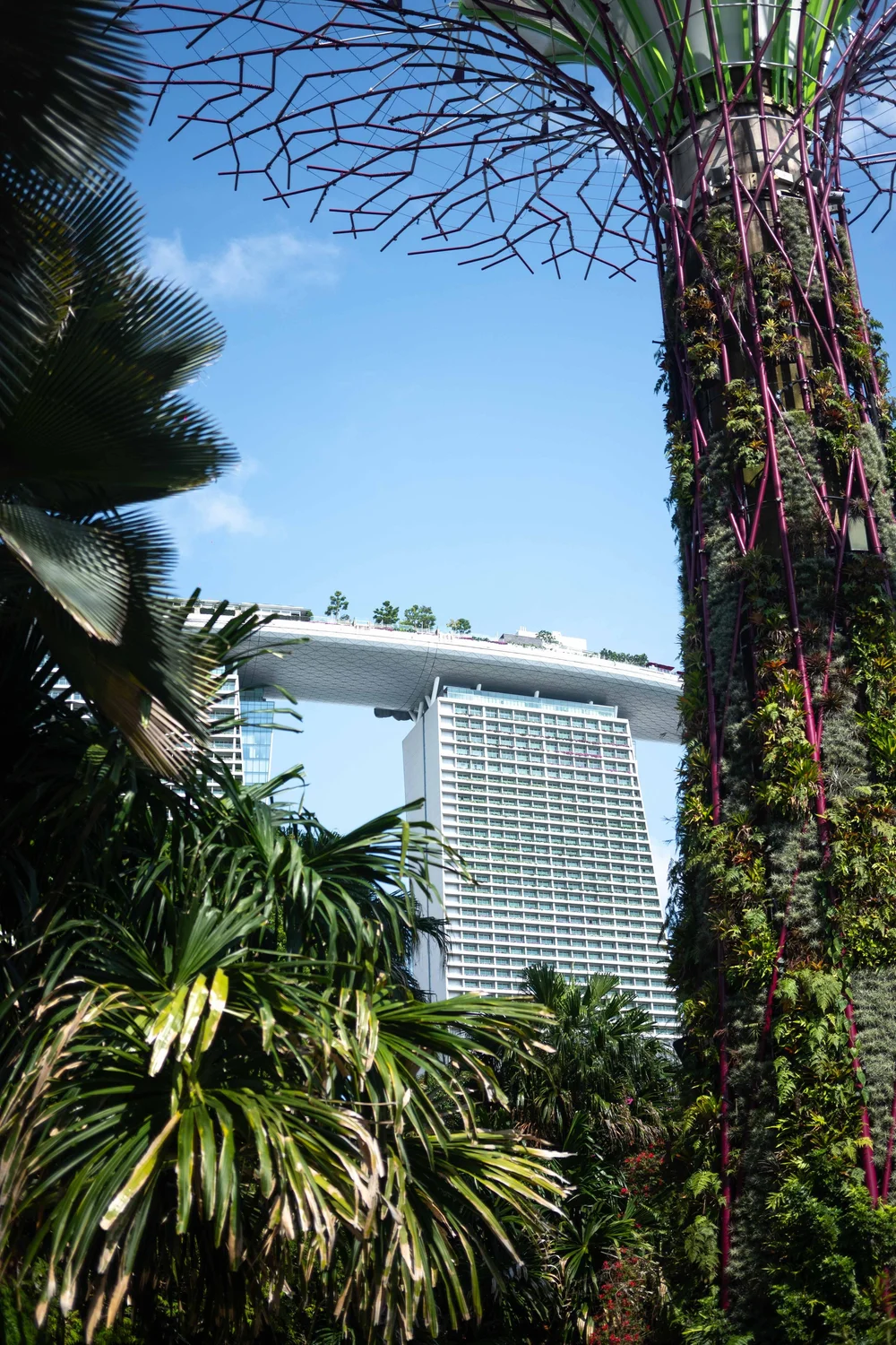 Singapour: photograph by Jordan Sapally (91/119)